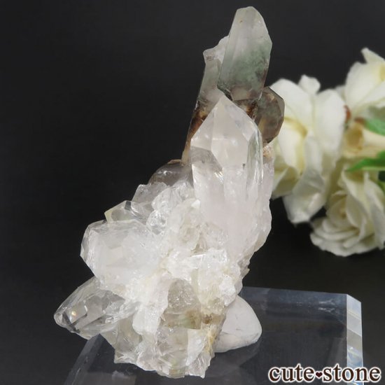 ֥饸 ߥʥ饤 Ȼ 徽ʥġˤΥ饹() No.10μ̿1 cute stone