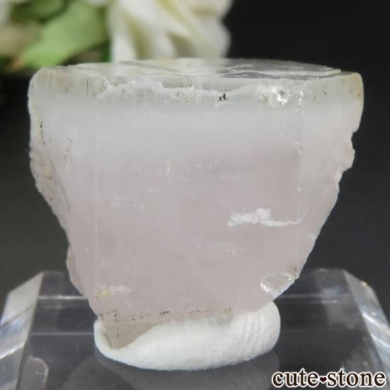 ѥ 륮åȡХƥ 륬ʥȡޥθ No.1