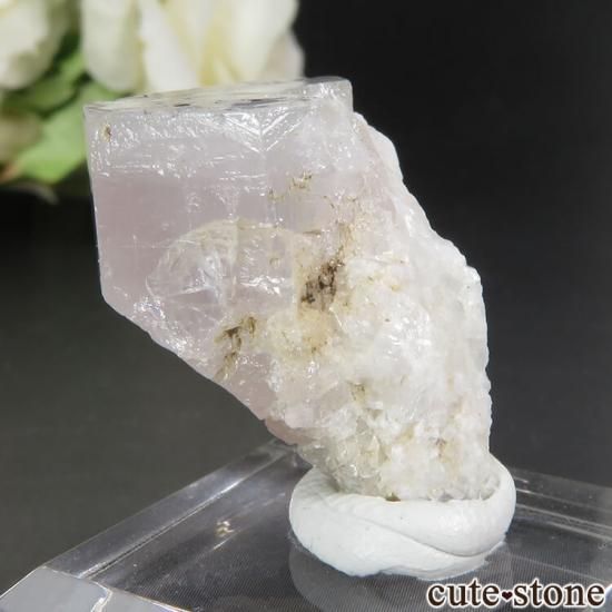 ѥ 륮åȡХƥ 륬ʥȡޥθ No.5μ̿1 cute stone