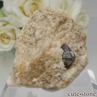 イタリア Monteriggioni産 スモーキークォーツ - カンゴームの母岩付き原石 No.1の画像
