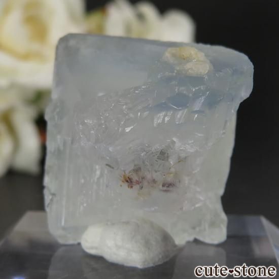 ˥塼ᥭ ӥ󥬥໺ ֥롼ե饤Ȥθ No.14μ̿1 cute stone