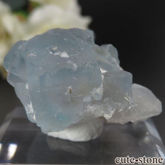 ˥塼ᥭ ӥ󥬥໺ ֥롼ե饤Ȥθ No.16μ̿1 cute stone