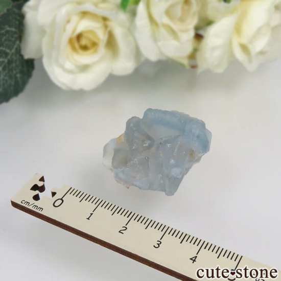˥塼ᥭ ӥ󥬥໺ ֥롼ե饤Ȥθ No.16μ̿3 cute stone