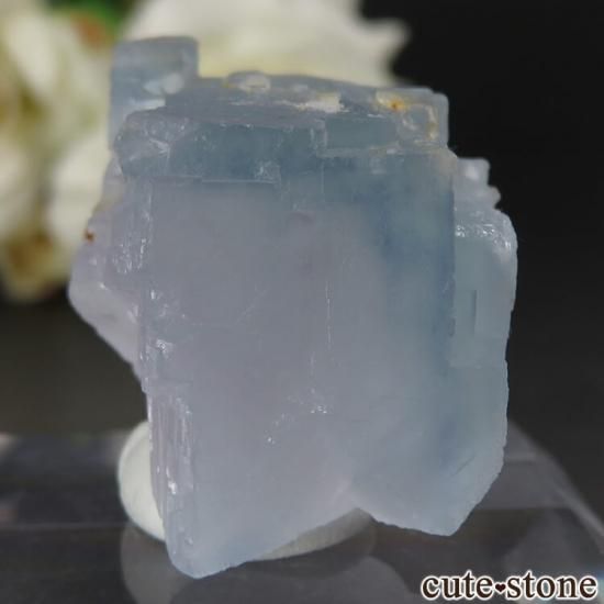 ˥塼ᥭ ӥ󥬥໺ ֥롼ե饤Ȥθ No.17μ̿0 cute stone