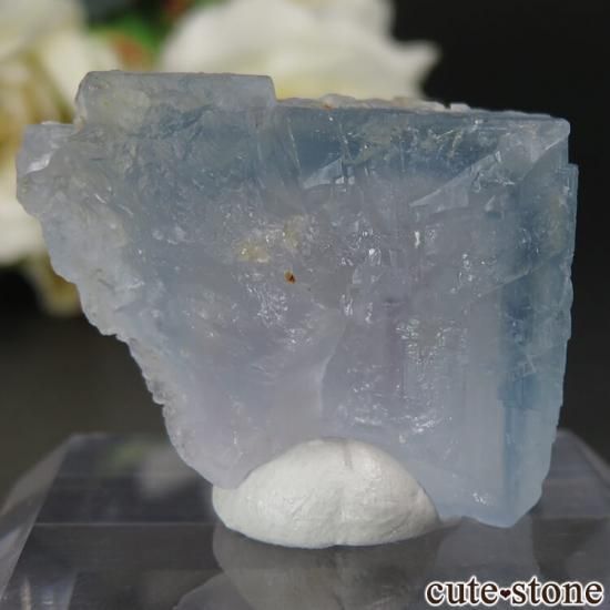 ˥塼ᥭ ӥ󥬥໺ ֥롼ե饤Ȥθ No.17μ̿1 cute stone