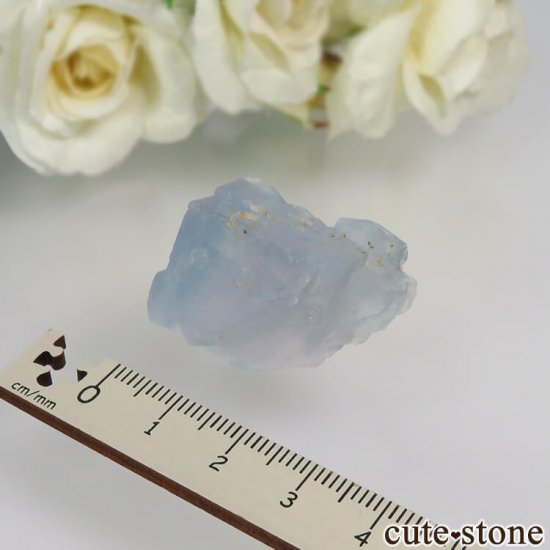 ˥塼ᥭ ӥ󥬥໺ ֥롼ե饤Ȥθ No.17μ̿3 cute stone