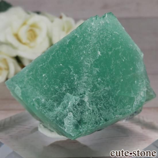 եꥫ Riemvasmaak ꡼ե饤Ȥθ No.8μ̿1 cute stone