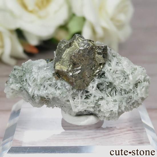 ֥륬ꥢ Krushev dol mine ѥ饤ȡĤθ No.1