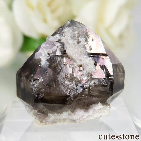 ȥꥢ Mooralla(顦) ⡼ No.1μ̿0 cute stone