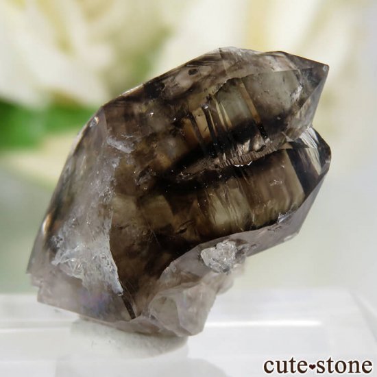 ȥꥢ Mooralla(顦) ⡼ No.2μ̿0 cute stone