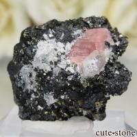 cute stone |アイテムの検索(15,001円~20,000円)
