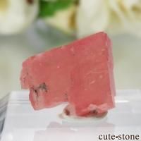 cute stone |アイテムの検索(15,001円~20,000円)