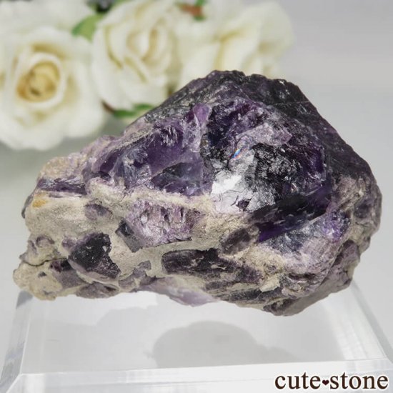 ե Foisches ǥץѡץե饤Ȥθ No.1μ̿1 cute stone