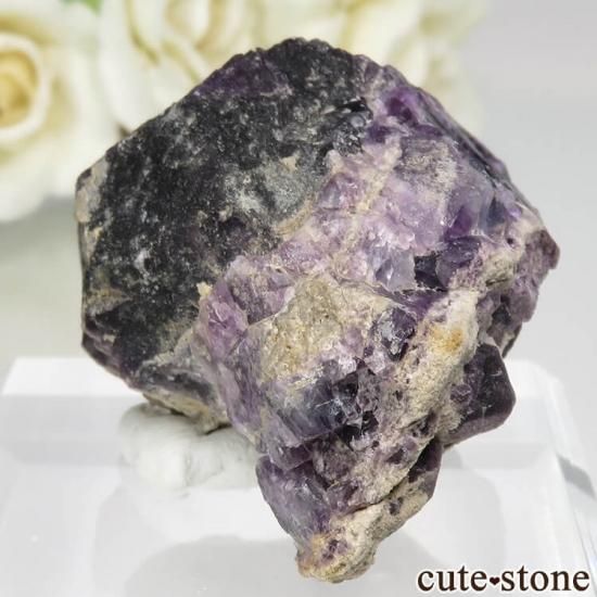 ե Foisches ǥץѡץե饤Ȥθ No.1μ̿2 cute stone