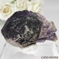 ե Foisches ǥץѡץե饤Ȥθ No.1β