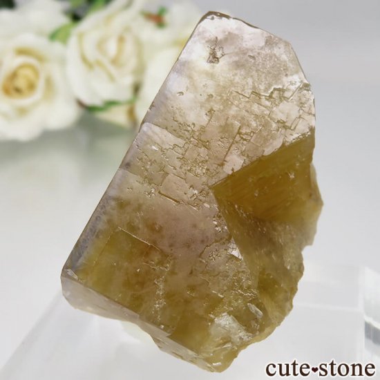 ե Valzergues ե饤Ȥη뾽ʸСNo.13μ̿2 cute stone
