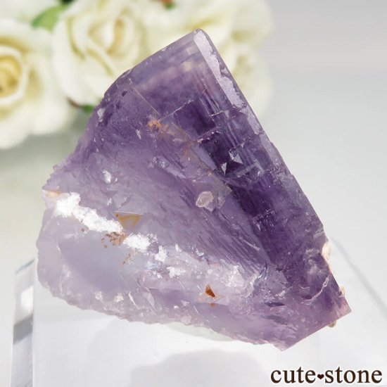 ڥ Berbes ѡץե饤Ȥθ No.12μ̿0 cute stone