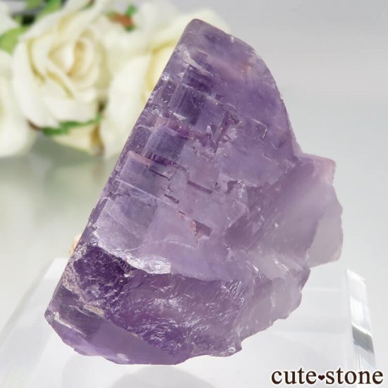 ڥ Berbes ѡץե饤Ȥθ No.12μ̿2 cute stone