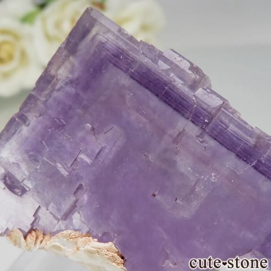 ڥ Berbes ѡץե饤Ȥθ No.12μ̿3 cute stone