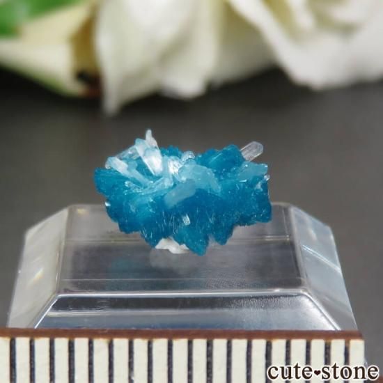  ץ͡ Х󥵥ȡƥХȤθ No.28μ̿0 cute stone