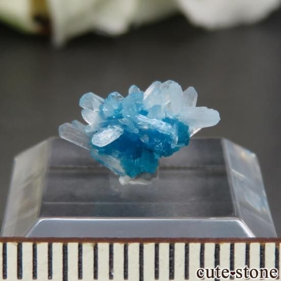  ץ͡ Х󥵥ȡƥХȤθ No.29μ̿0 cute stone