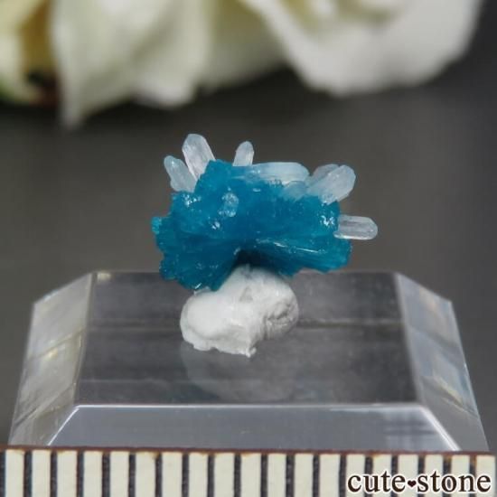  ץ͡ Х󥵥ȡƥХȤθ No.30μ̿0 cute stone