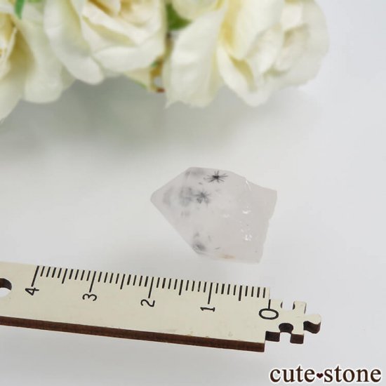 ޥ뻺 ۥȥ󥯥ġ徽ˤθ No.2μ̿2 cute stone
