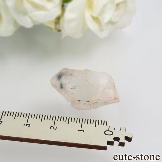 ޥ뻺 ۥȥ󥯥ġ徽ˤθ No.3μ̿2 cute stone