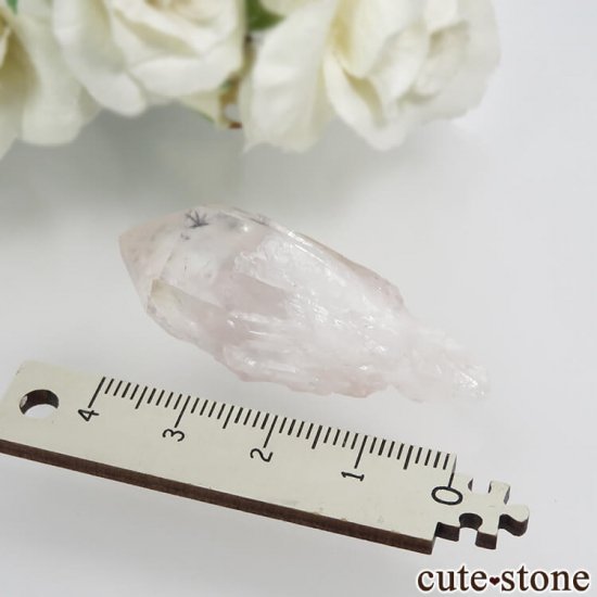 ޥ뻺 ۥȥ󥯥ġ徽ˤθ No.4μ̿2 cute stone