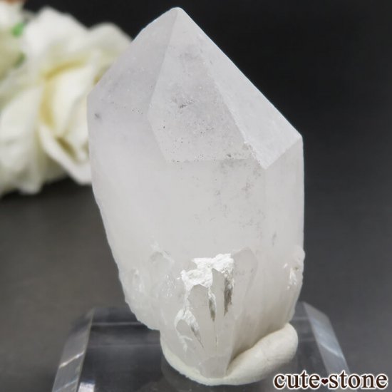ޥ뻺 ۥȥ󥯥ġ徽ˤθ No.5μ̿0 cute stone
