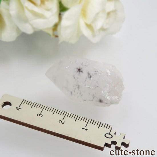 ޥ뻺 ۥȥ󥯥ġ徽ˤθ No.5μ̿2 cute stone