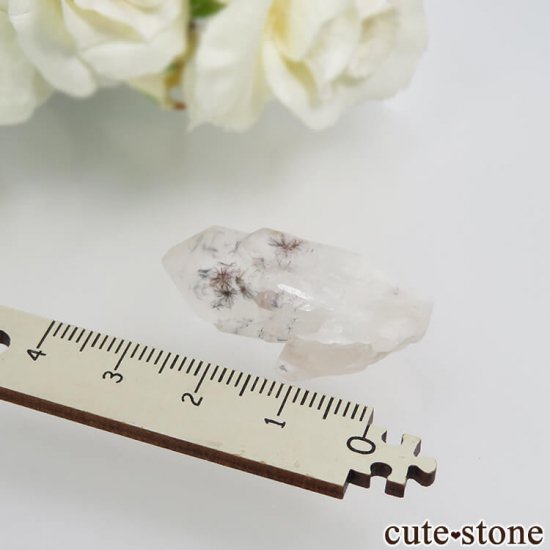 ޥ뻺 ۥȥ󥯥ġ徽ˤθ No.6μ̿2 cute stone