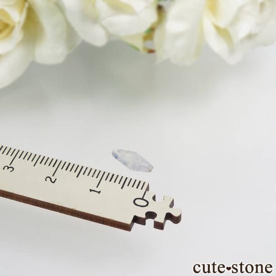  Ratnapura եη뾽 No.28μ̿3 cute stone