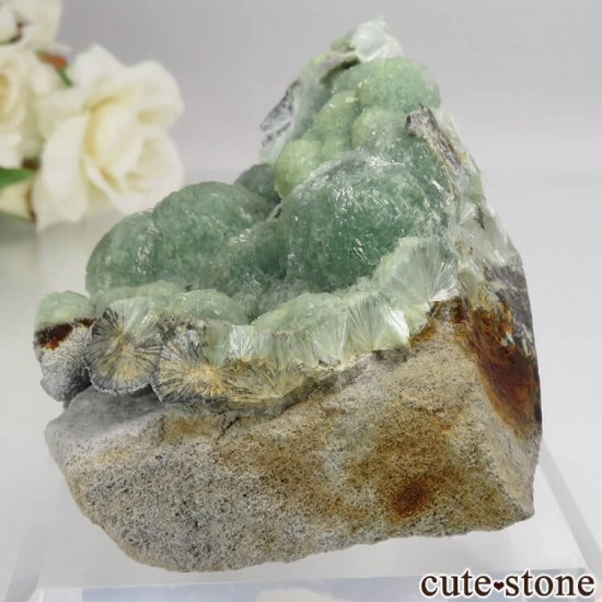 ꥫ 󥽡 Montgomery County ٥饤Ȥθ No.1μ̿2 cute stone
