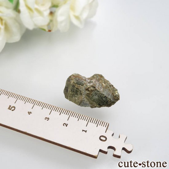 ꥫ ե˥ Darwin ѥ饤Ȥθ No.1μ̿2 cute stone