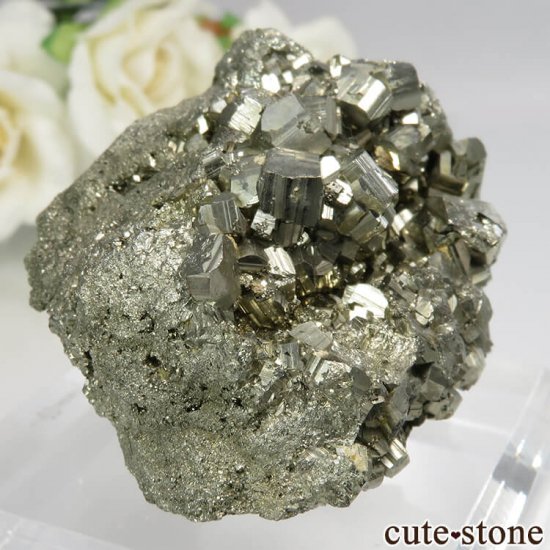 ꥫ ɽ Gilpin ѥ饤Ȥθ No.1μ̿0 cute stone