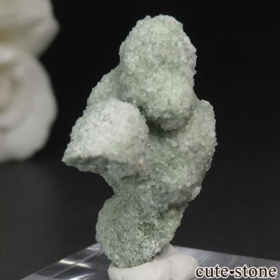 ꥫ 󥷥󽣻 ʥȤθ No.2μ̿1 cute stone