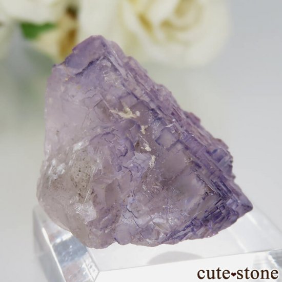 ᥭ Coahuila ѡץե饤Ȥη뾽ʸСNo.4μ̿0 cute stone