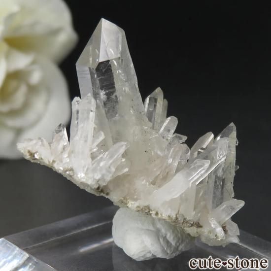 アメリカ コロラド州産 クォーツ&パイライトの原石 No.2の写真1 cute stone