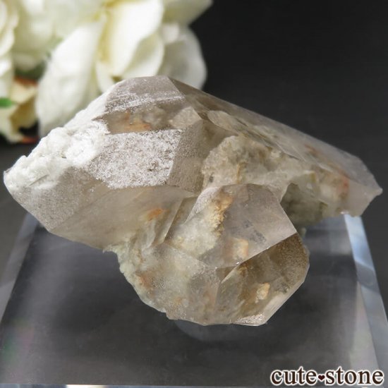 ֥饸 Presidente Kubitschek ǥ󥯥Ĥθ No.1μ̿0 cute stone