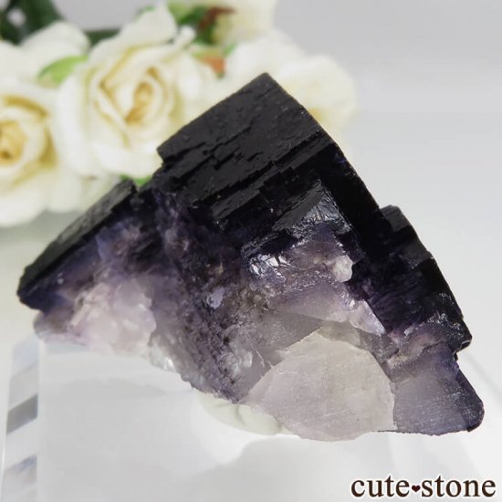 ꥫ Υ  ѡץե饤Ȥθ No.5μ̿0 cute stone