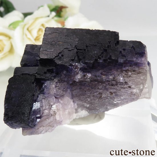 ꥫ Υ  ѡץե饤Ȥθ No.5μ̿1 cute stone