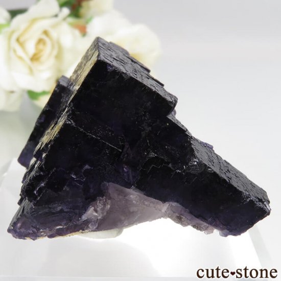 ꥫ Υ  ѡץե饤Ȥθ No.5μ̿2 cute stone