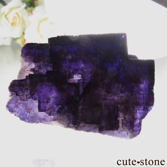 ꥫ Υ  ѡץե饤Ȥθ No.5μ̿4 cute stone