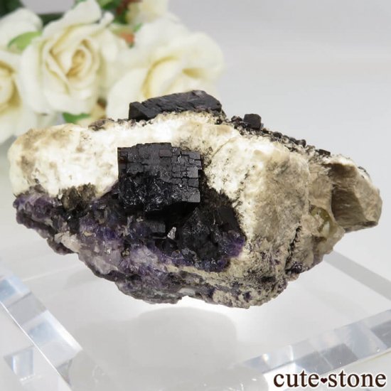 ꥫ Υ  ѡץե饤Ȥθ No.6μ̿1 cute stone