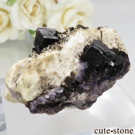 ꥫ Υ  ѡץե饤Ȥθ No.6μ̿2 cute stone