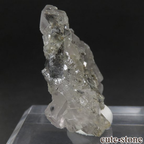 ꥫ ͥХ Boulder Hill Mine  顼쥹ե饤Ȥθ No.1μ̿0 cute stone