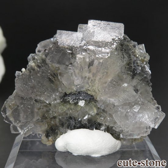 ꥫ ͥХ Boulder Hill Mine  顼쥹ե饤Ȥθ No.1μ̿1 cute stone