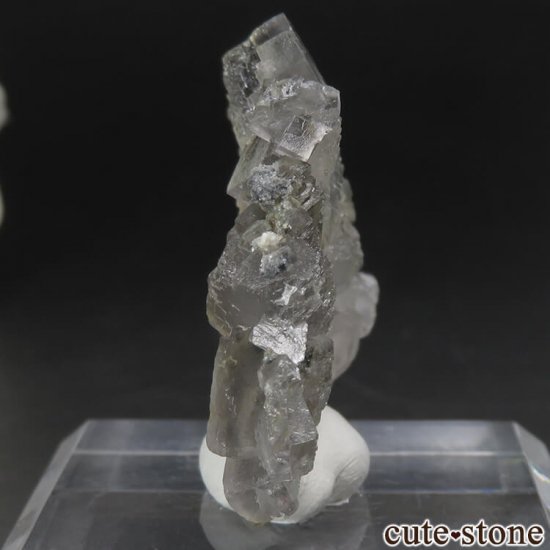 ꥫ ͥХ Boulder Hill Mine  顼쥹ե饤Ȥθ No.1μ̿2 cute stone