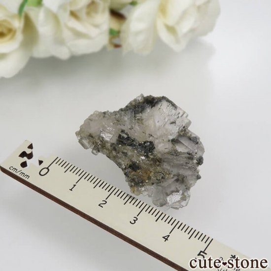ꥫ ͥХ Boulder Hill Mine  顼쥹ե饤Ȥθ No.1μ̿4 cute stone